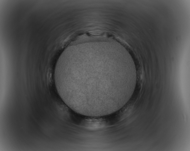 X0000086730615200705041349