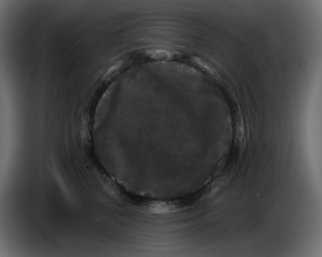 X0000086730616200705041349