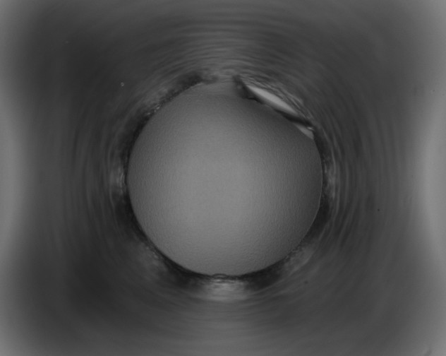 X0000086730617200705041349