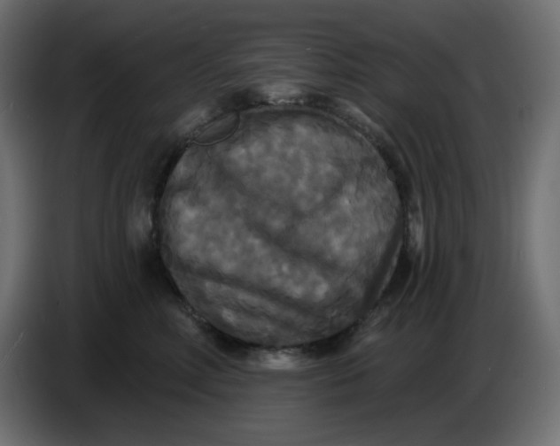 X0000086730618200705041349