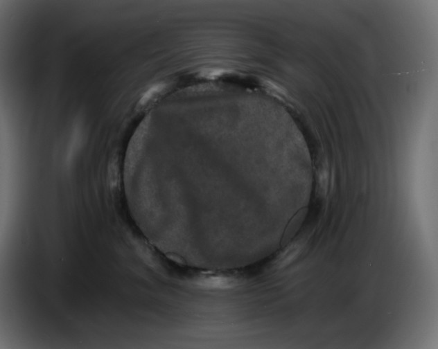 X0000086730620200705041349