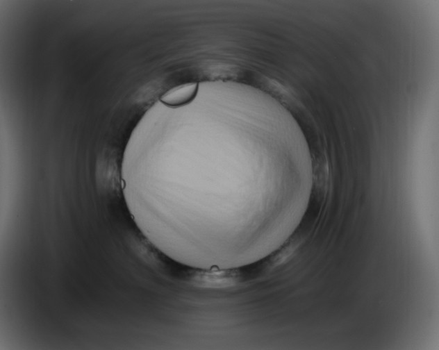 X0000086730622200705041349