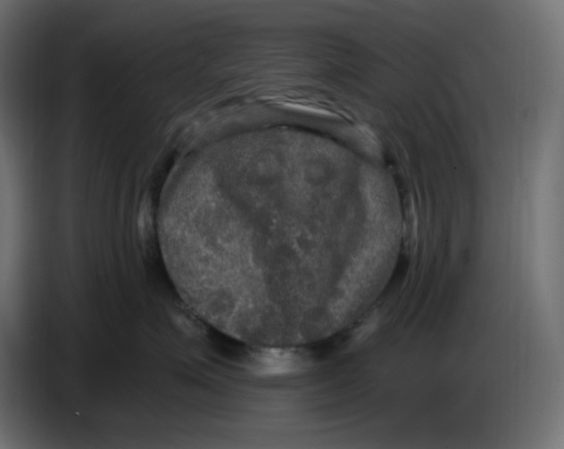 X0000086730623200705041349