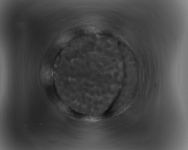 X0000086730624200705041349