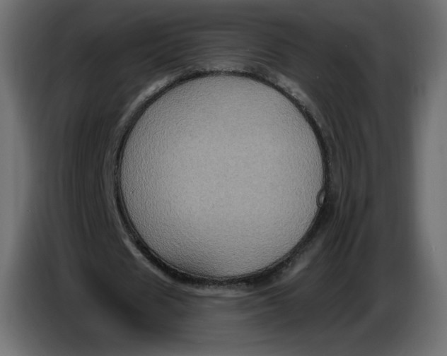 X0000086730625200705041348