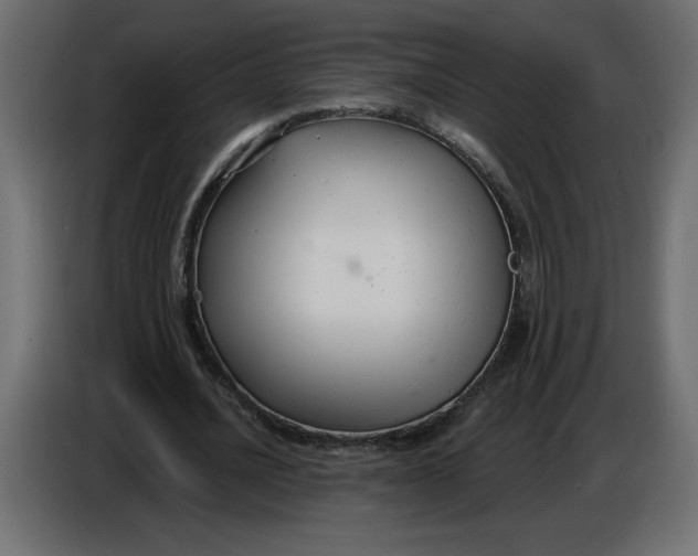 X0000086730628200705041348