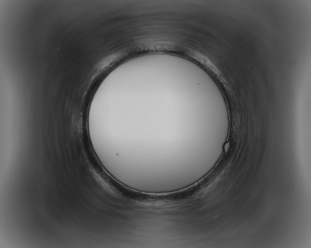 X0000086730629200705041348