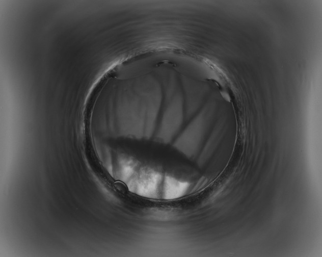 X0000086730630200705041348