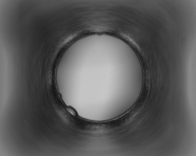 X0000086730631200705041348