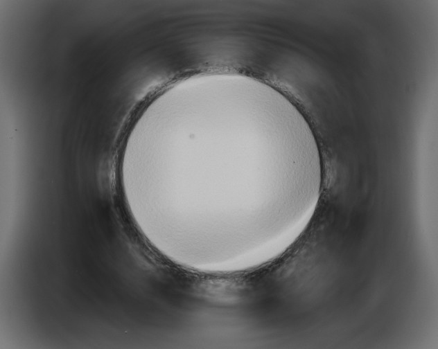 X0000086730632200705041348