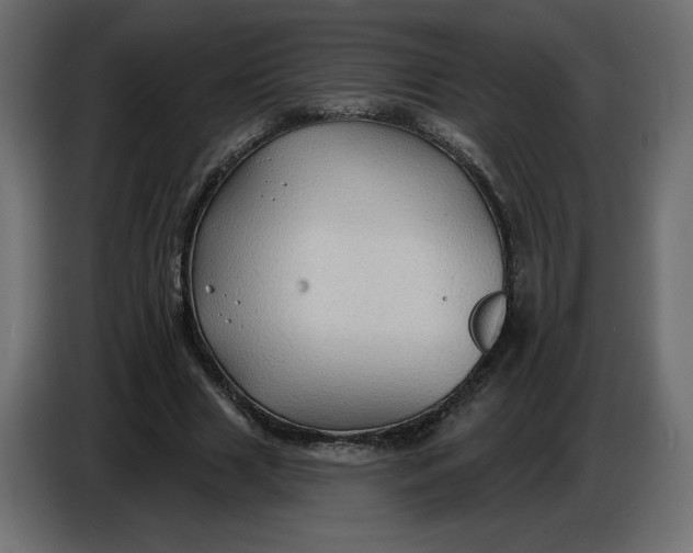 X0000086730633200705041348