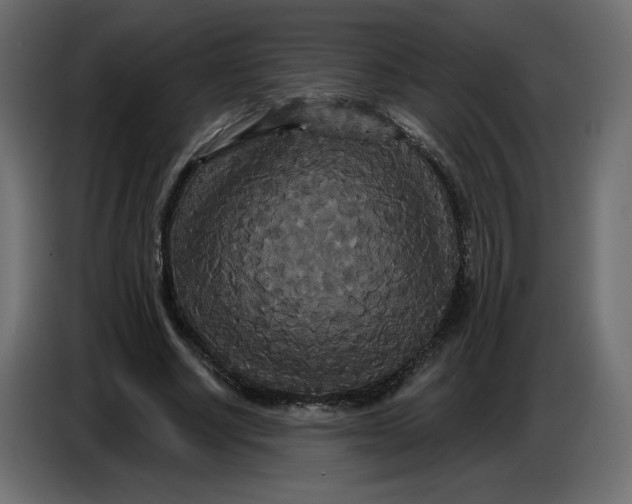 X0000086730634200705041348