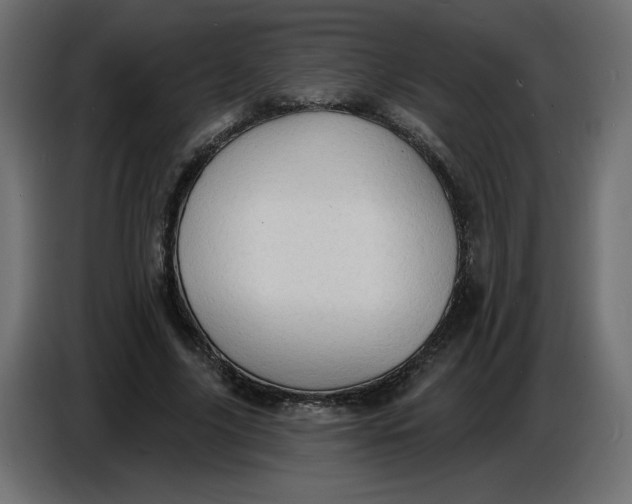 X0000086730635200705041348