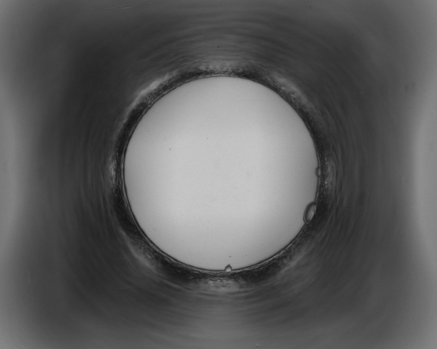 X0000086730636200705041348