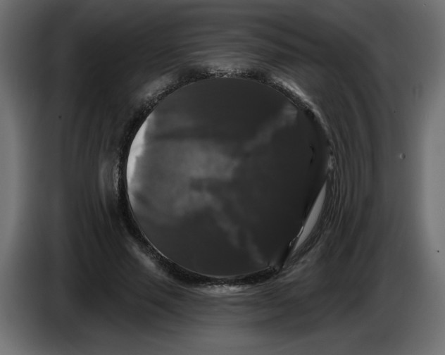 X0000086730637200705041348