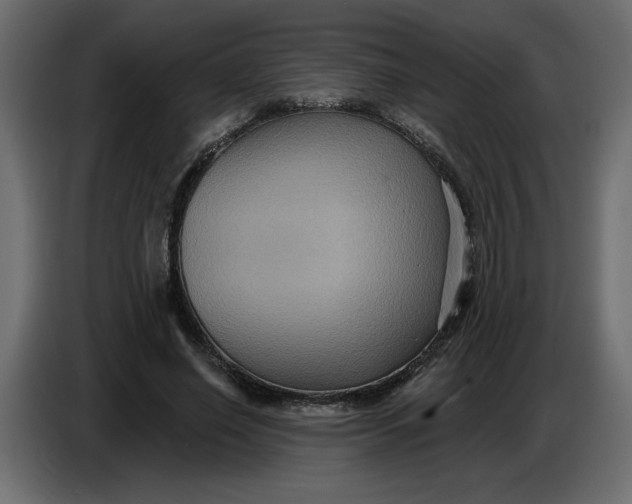 X0000086730638200705041348