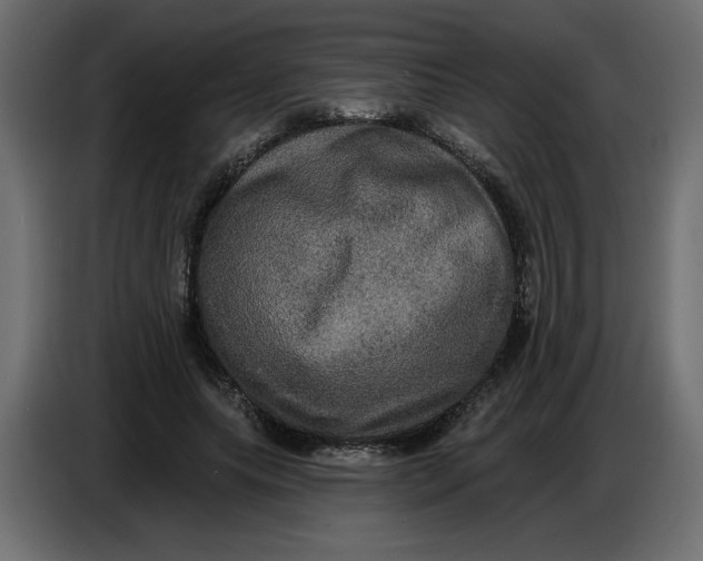 X0000086730639200705041348