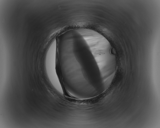 X0000086730640200705041348