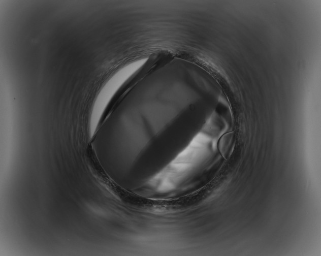 X0000086730641200705041348