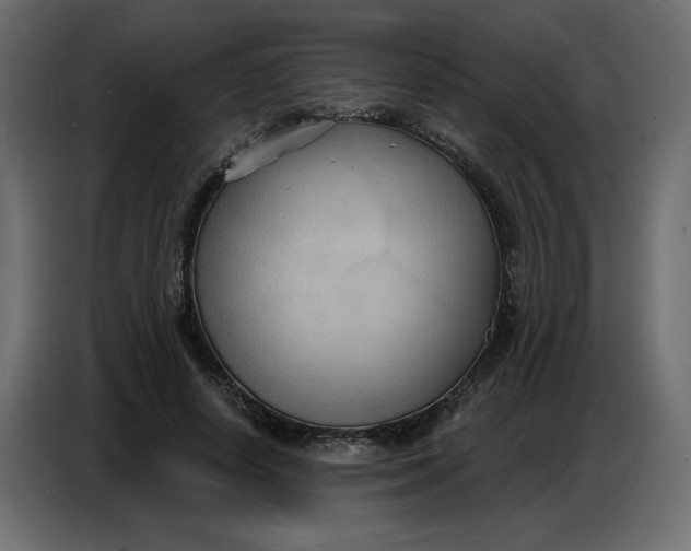 X0000086730642200705041348