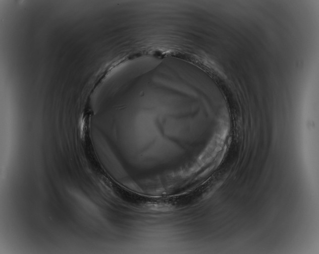 X0000086730644200705041348