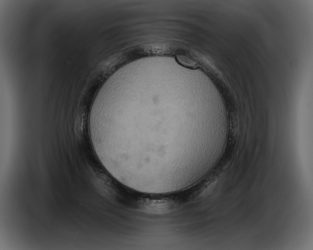 X0000086730645200705041348