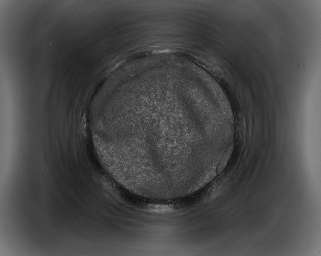 X0000086730649200705041348