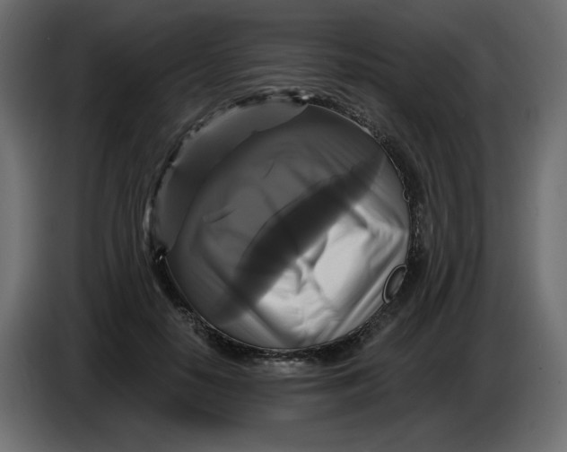 X0000086730650200705041348