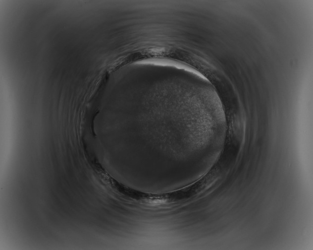 X0000086730651200705041348