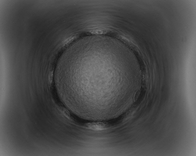 X0000086730652200705041348