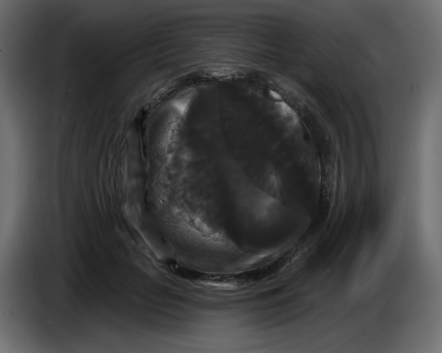 X0000086730653200705041348