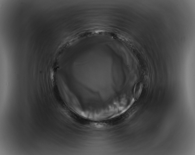 X0000086730654200705041348