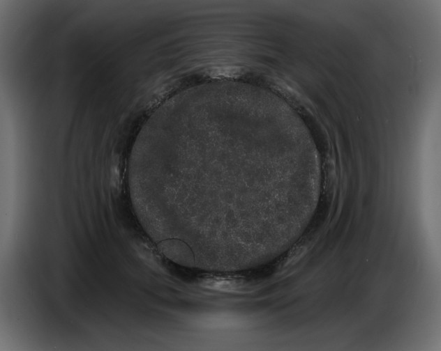 X0000086730655200705041348