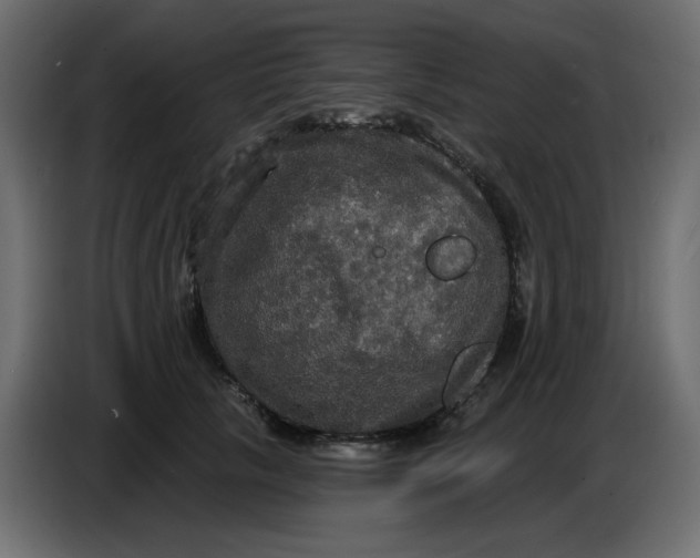 X0000086730657200705041348