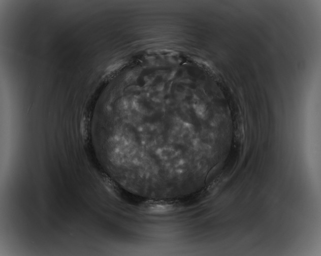 X0000086730658200705041348