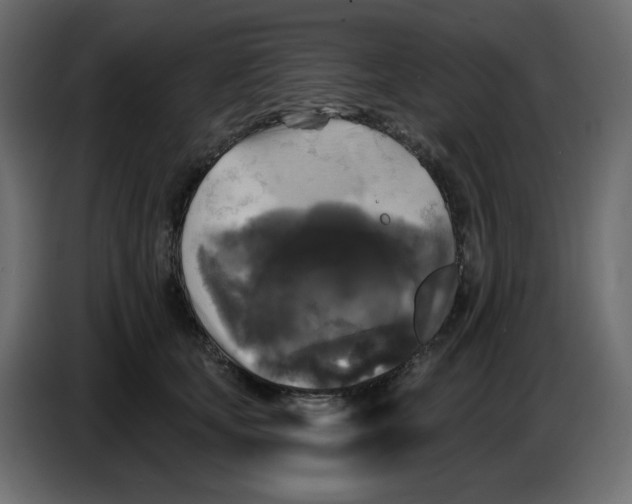 X0000086730659200705041348