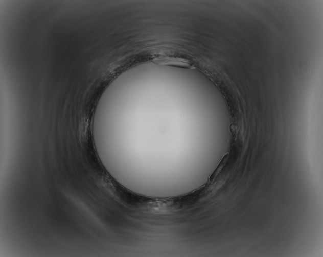 X0000086730660200705041348