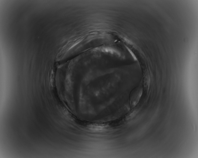 X0000086730661200705041348