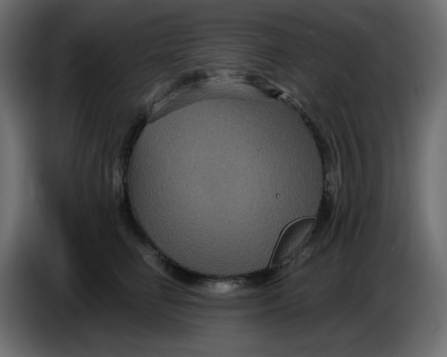 X0000086730662200705041348