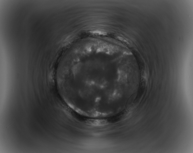 X0000086730663200705041348