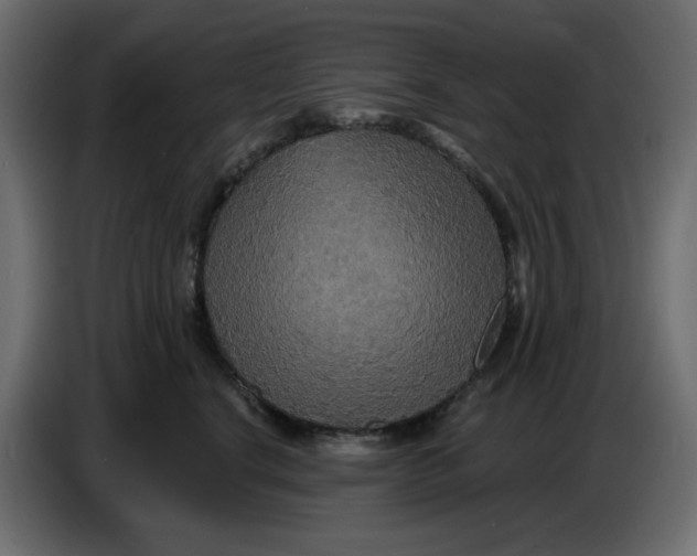 X0000086730664200705041348