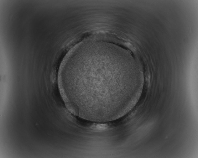 X0000086730665200705041348