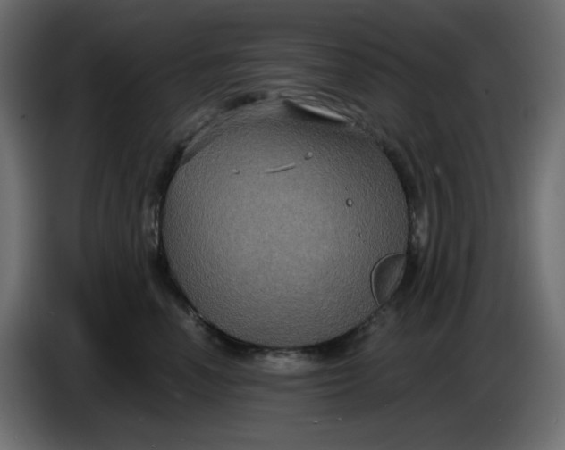 X0000086730666200705041348