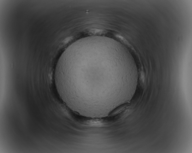 X0000086730668200705041348