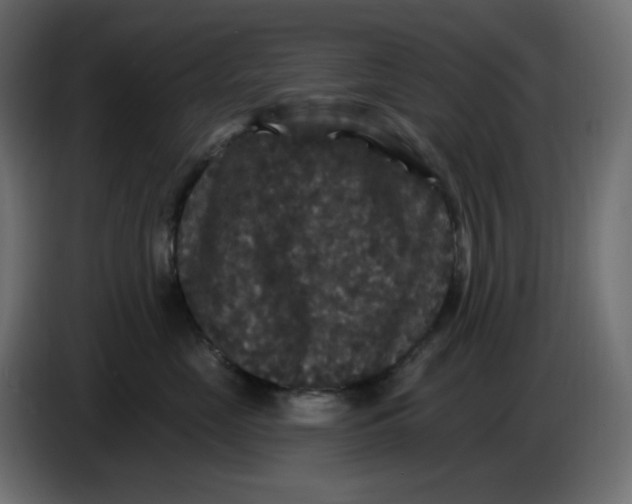 X0000086730669200705041348