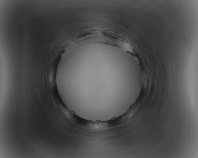 X0000086730670200705041348