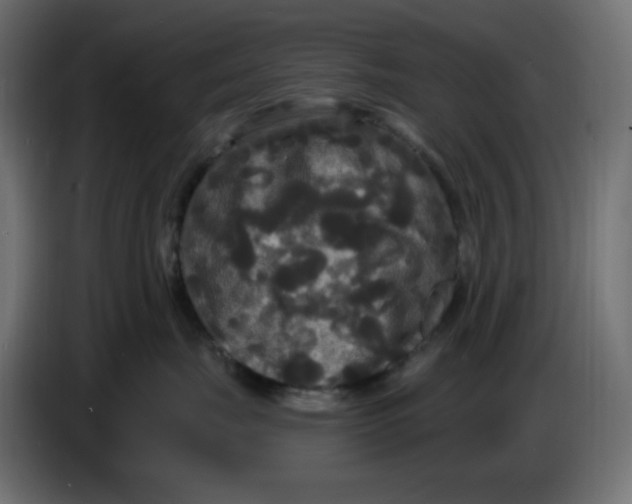 X0000086730671200705041349