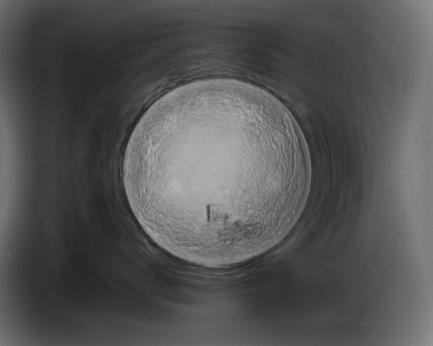 X0000086730672200705041349