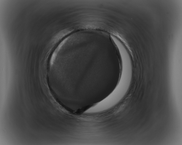 X0000086730673200705041348