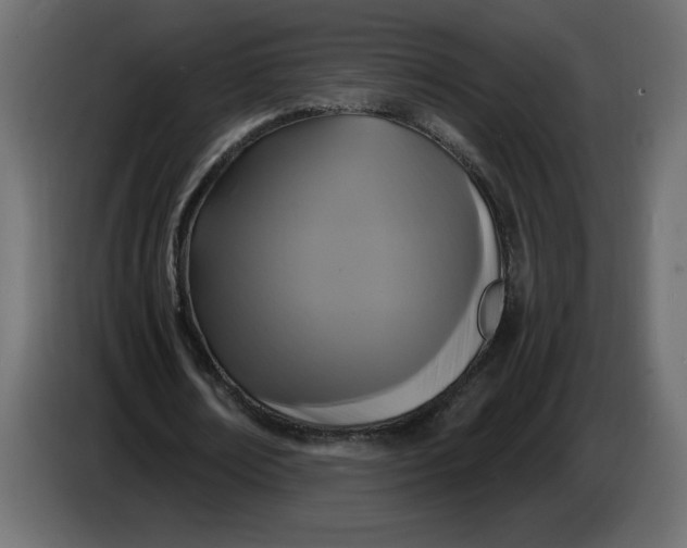 X0000086730674200705041348